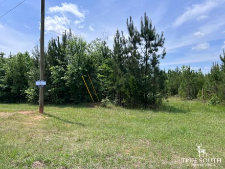 Lexington Oglethorpe County Timberland