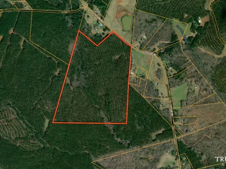 Lexington Oglethorpe County Timberland