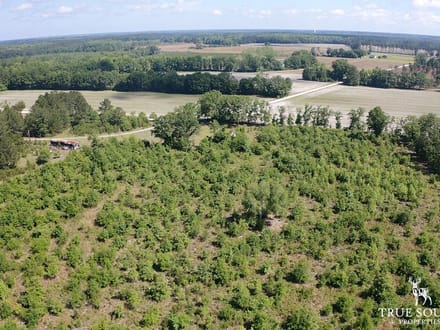 Hampton Co. Country Homesite / Recreational Land