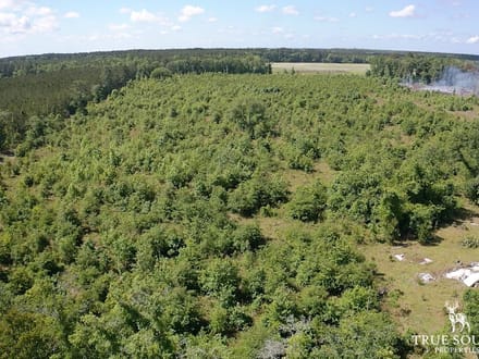Hampton Co. Country Homesite / Recreational Land