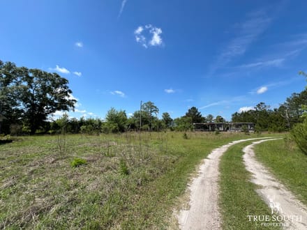 Hampton Co. Country Homesite / Recreational Land