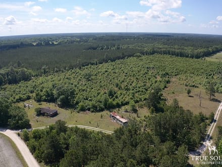 Hampton Co. Country Homesite / Recreational Land