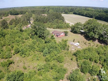 Hampton Co. Country Homesite / Recreational Land