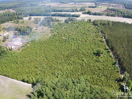 Hampton Co. Country Homesite / Recreational Land
