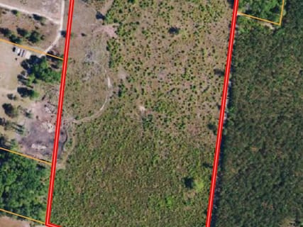 Hampton Co. Country Homesite / Recreational Land