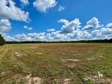 Sunshine Hills Farm - Hampton County SC Fields & Pond
