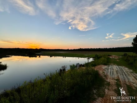 Sunshine Hills Farm - Hampton County SC Fields & Pond