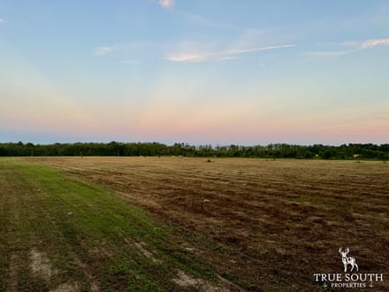 Sunshine Hills Farm - Hampton County SC Fields & Pond
