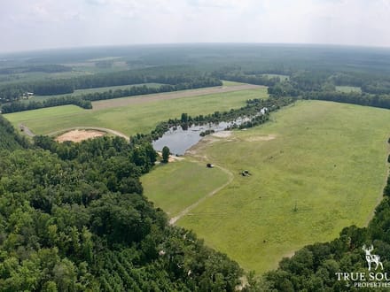 Sunshine Hills Farm - Hampton County SC Fields & Pond