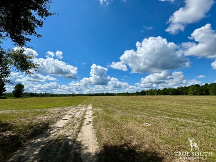 Sunshine Hills Farm - Hampton County SC Fields & Pond