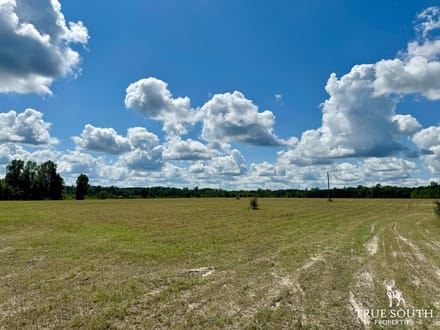 Sunshine Hills Farm - Hampton County SC Fields & Pond