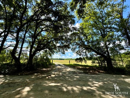 Sunshine Hills Farm - Hampton County SC Fields & Pond