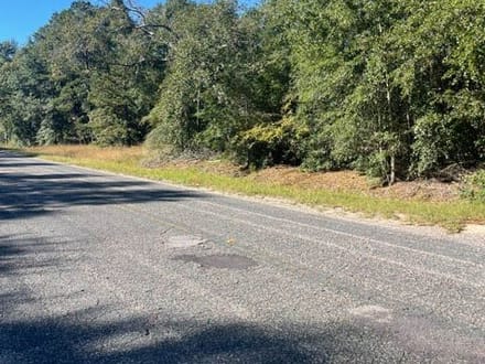STOKES BLUFF JASPER SC HUNTING / LAND