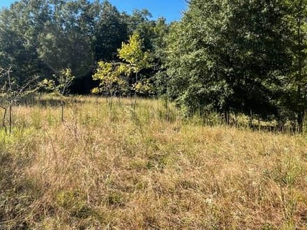 STOKES BLUFF JASPER SC HUNTING / LAND