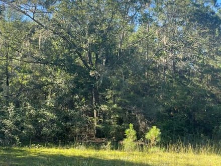 STOKES BLUFF JASPER SC HUNTING / LAND
