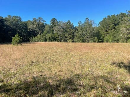 STOKES BLUFF JASPER SC HUNTING / LAND