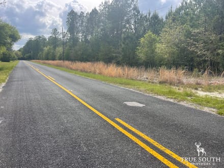 JASPER / LOWCOUNTRY / LAND FOR SALE