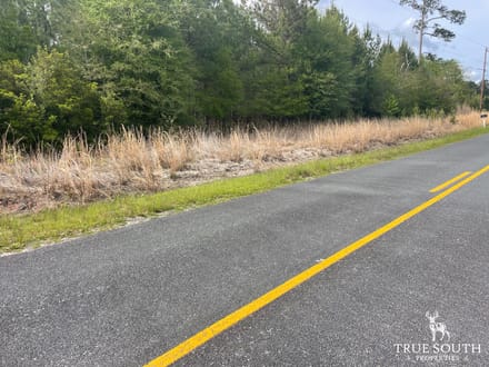 JASPER / LOWCOUNTRY / LAND FOR SALE