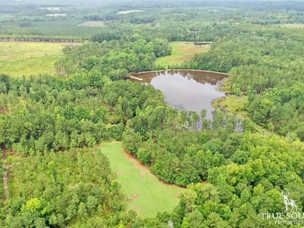 Woodcliff Screven Co Hunting & Timber Farm