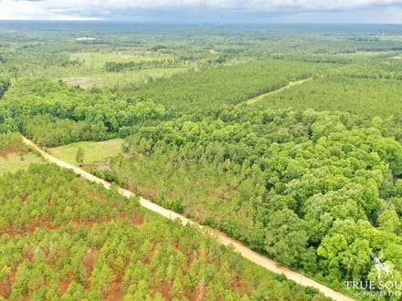 Woodcliff Screven Co Hunting & Timber Farm