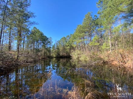 HAMPTON COUNTY LAND FOR SALE
