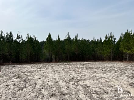 Screven County/Sylvania GA Homesite