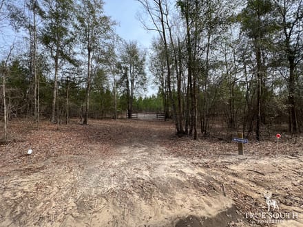 Screven County/Sylvania GA Homesite