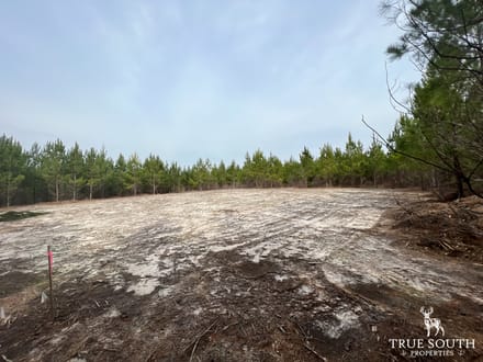 Screven County/Sylvania GA Homesite