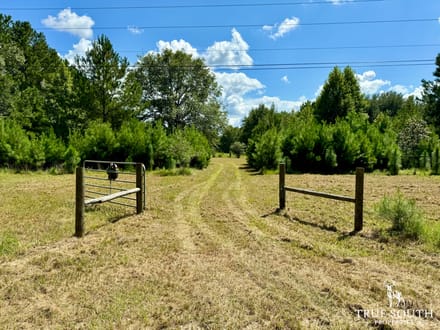 Jasper SC Small Hunting & Recreational Retreat
