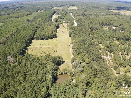 Jasper SC Small Hunting & Recreational Retreat