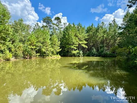 Jasper SC Small Hunting & Recreational Retreat