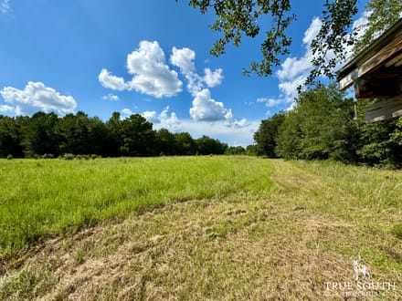 Jasper SC Small Hunting & Recreational Retreat