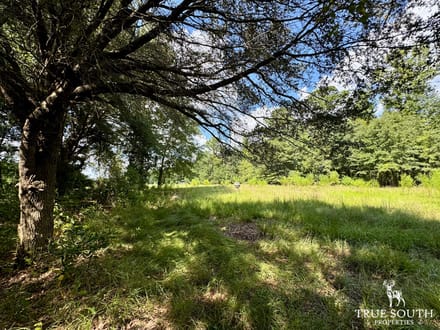 Jasper SC Small Hunting & Recreational Retreat