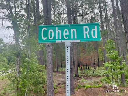 LOWCOUNTRY / LAND FOR SALE / JASPER COUNTY