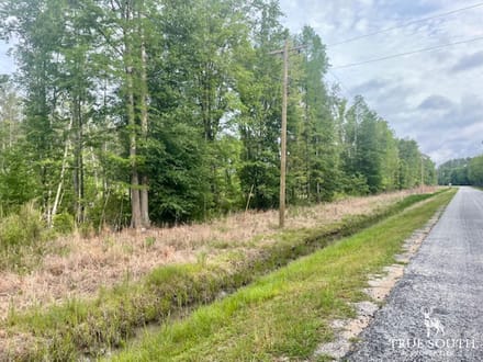 LOWCOUNTRY / LAND FOR SALE / JASPER COUNTY