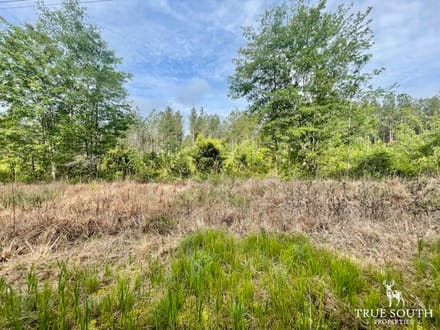 LOWCOUNTRY / LAND FOR SALE / JASPER COUNTY