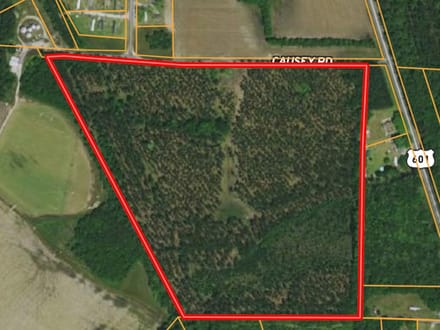 Furman Southern Hampton Co. Timber & Hunting Land