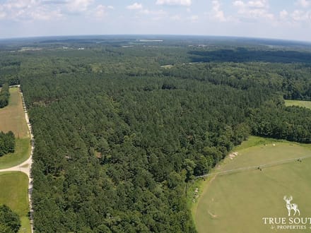 Furman Southern Hampton Co. Timber & Hunting Land