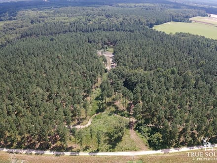 Furman Southern Hampton Co. Timber & Hunting Land