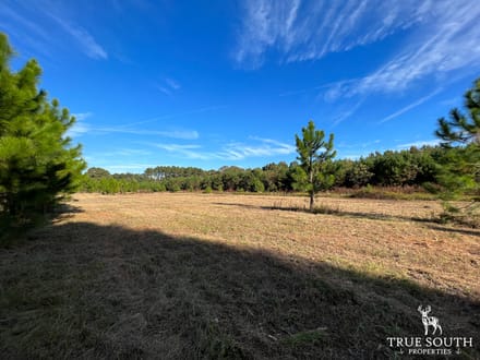 Scott Hill Private Land - St Helena / Beaufort Co.