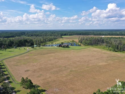 BILT MAC FARM - SC LOWCOUNTRY TURN-KEY ESTATE