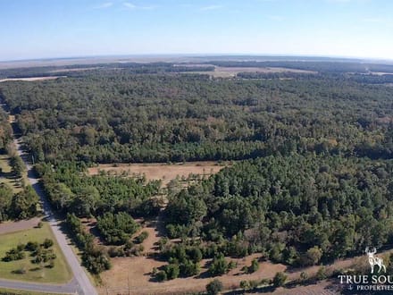 Scott Hill Private Land - St Helena / Beaufort Co.