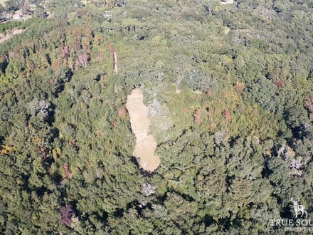 Scott Hill Private Land - St Helena / Beaufort Co.