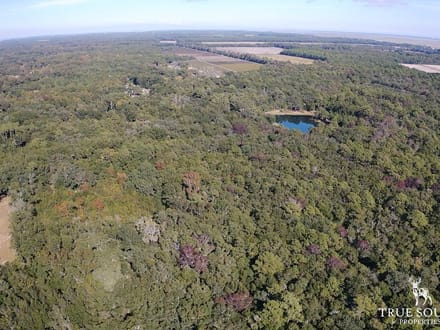 Scott Hill Private Land - St Helena / Beaufort Co.