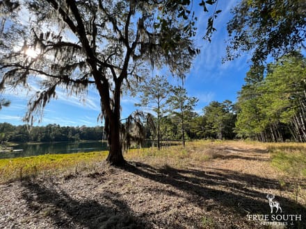 Scott Hill Private Land - St Helena / Beaufort Co.