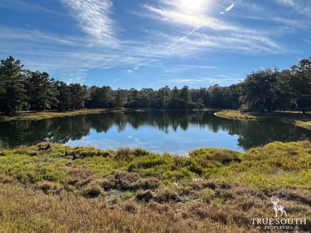 Scott Hill Private Land - St Helena / Beaufort Co.