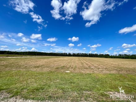 BILT MAC FARM - SC LOWCOUNTRY TURN-KEY ESTATE
