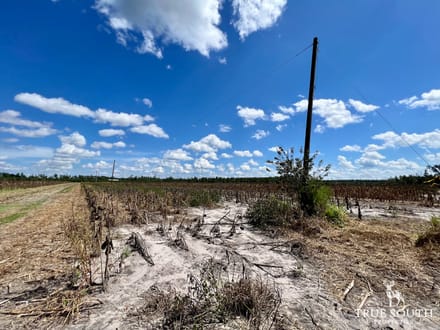 BILT MAC FARM - SC LOWCOUNTRY TURN-KEY ESTATE