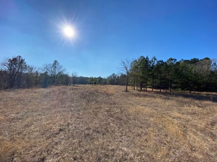 Barnwell Hunting & Timber Land