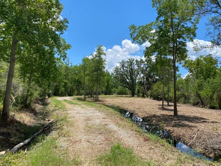 Coosaw/Judge Island Morgan River Estate Lot Beaufort